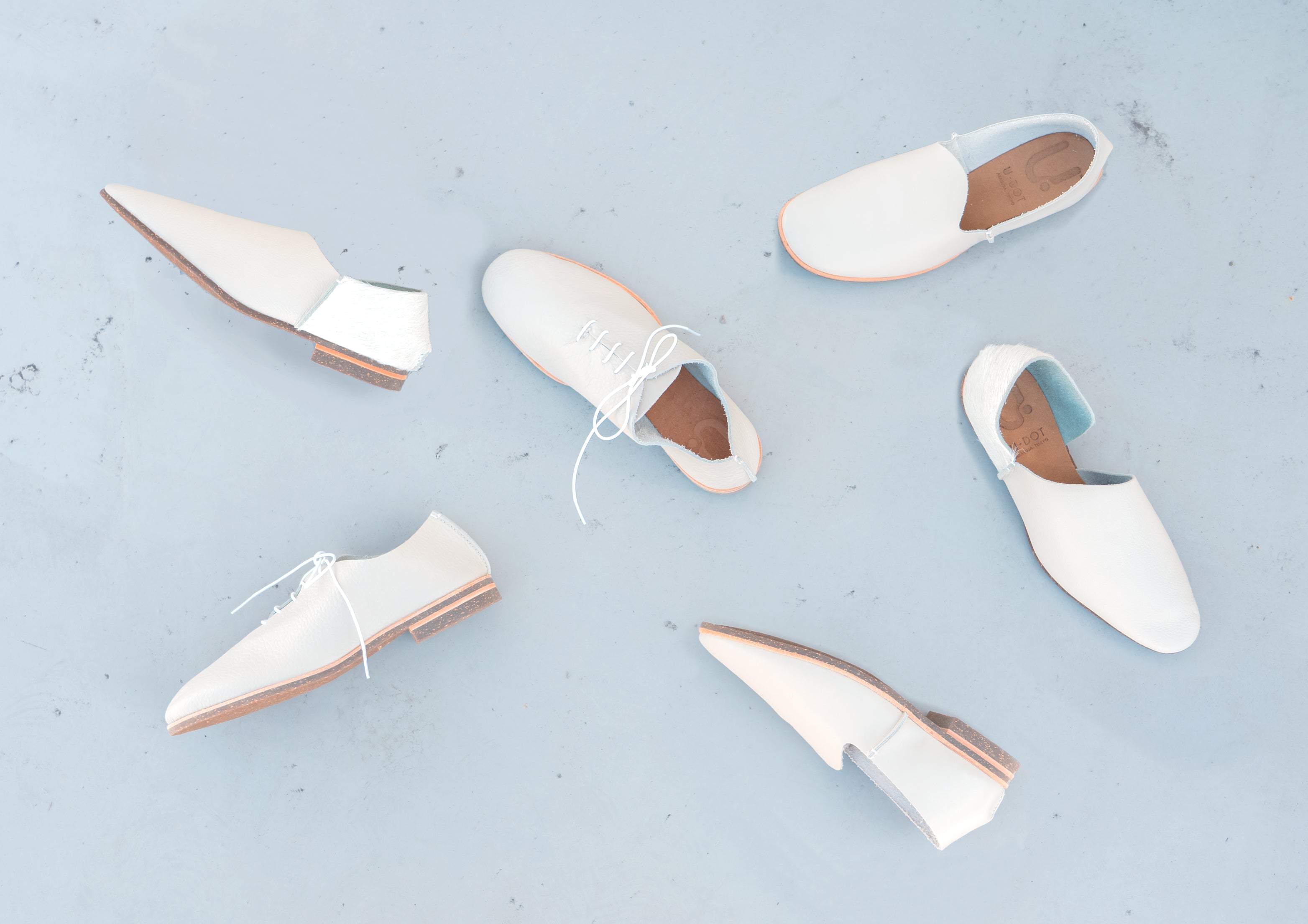 1月のOPEN DAYは23日〜25日!